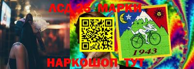 гашик Можга