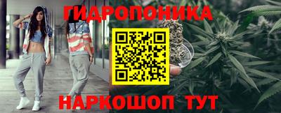 гашик Можга