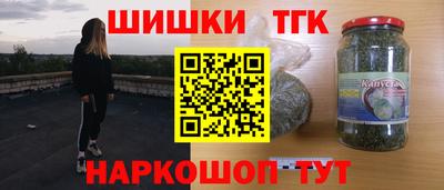 гашик Можга