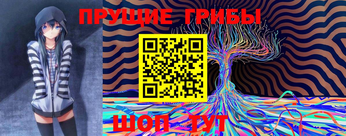 Урус-Мартан  Галлюциногенные грибы MAGIC MUSHROOMS  Вход с VPN 